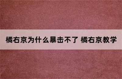 橘右京为什么暴击不了 橘右京教学